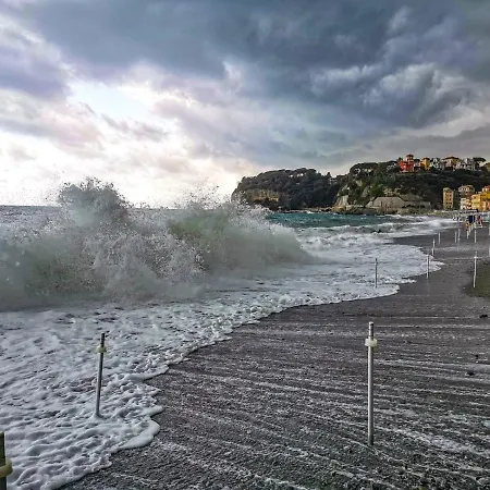 La Stenella Blu, Finestra Sul Mare *